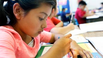 La estrategia de la escuela primaria Río Vista es precisamente que sus 22 profesores se encarguen de la enseñanza de los 440 alumnos, casi todos hispanos.