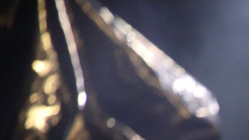 Alfredo Ríos canceló por presuntas amenazas.