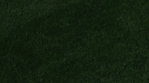 Bartolo Colón se lució en el montículo de Washington.