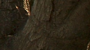 California Budget Crisis Threatens Basic Services