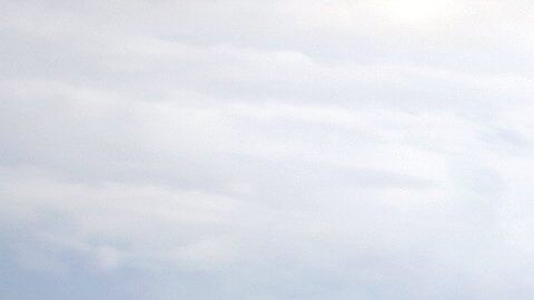 SINDICATOS BRASILEÑOS PROTESTAN CONTRA PROYECTO DE "TERCERIZACIÓN" DEL EMPLEO