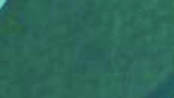 miércoles en el festival de cine Tribeca.