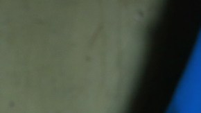 Dos talleres son los encargados de confeccionar el cetro que contendrá tres mil esmeraldas y que lleva un kilo de oro. Casi todo será hecho a mano y se detallan todas las piezas. /AGENCIA REFORMA