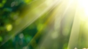 Las personas alérgicas pueden seguir haciendo ejercicio al aire libre siguiendo ciertas recomendaciones.