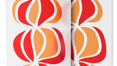 Los paneles japoneses son buena alternativa a persianas y cortinas tradicionales.