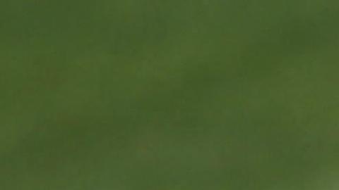 James Rodríguez (centro) y Raphael Varane (izq.) disputan un balón en una práctica del equipo en Valdebebas. /EFE