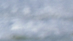 March of the Penguins