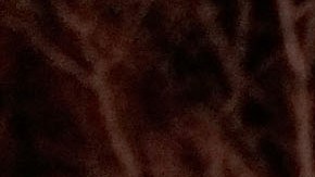 El último tiroteo del fin de semana ser registró anoche.  Getty Images