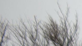 Policía del condado Suffolk, NY.