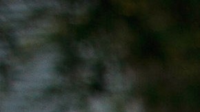 Los inmigrantes en Arizona han enfrentado intensos y continuos ataques contra ellos.