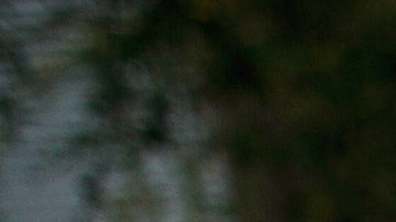 Los inmigrantes en Arizona han enfrentado intensos y continuos ataques contra ellos.