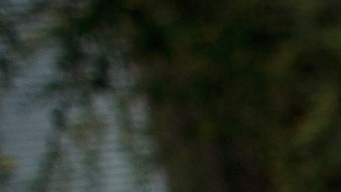 Los inmigrantes en Arizona han enfrentado intensos y continuos ataques contra ellos.