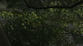 Uber y los taxis tradicionales de NYC: se alían dos rivales.