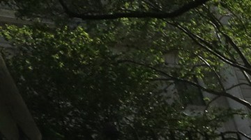 Uber y los taxis tradicionales de NYC: se alían dos rivales.