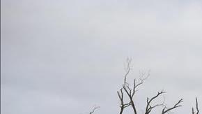 Destrucción por tornados