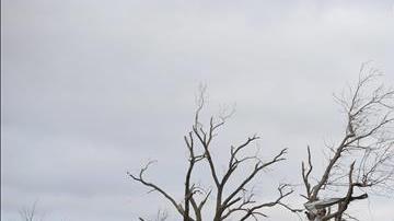 Destrucción por tornados