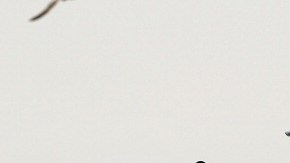 La cárcel más grande de NYC