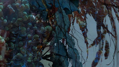 El mundo de 'Avatar' llegará a Disney's Animal Kingdom en 2017.