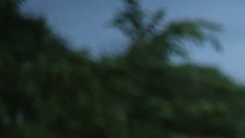 Central American Migrants Attempt Arduous Voyage Thru Mexico To U.S.