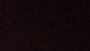 Los fuegos artificiales Disneyland Forever son el centro de atención de la celebración.