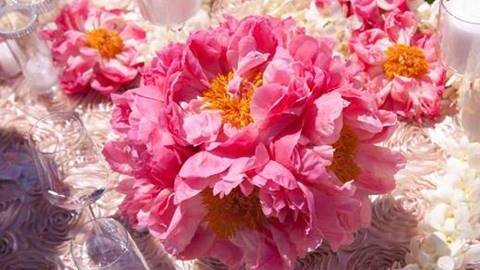 flores-fuscia