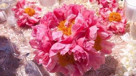 flores-fuscia