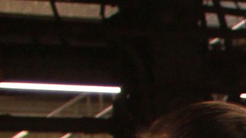 Los restos de comida atraen roedores y crean incendios en las vías del tren.