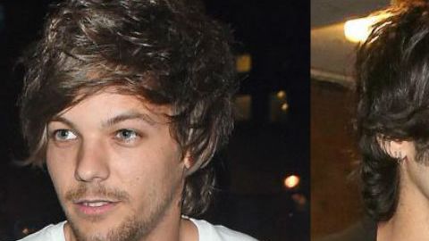 La polémica comenzó cuando Zayn arremetió públicamente contra Louis.