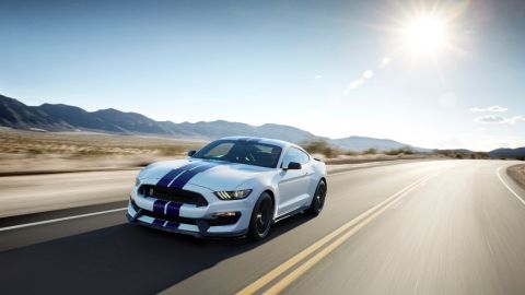 shelby gt350