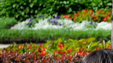 Tienen menos hijos, pero latinas siguen teniendo más en comparación con otro grupos raciales.