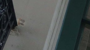 Una razón adicional para registrarse en las bibliotecas