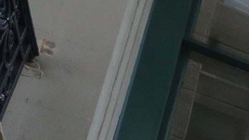 Una razón adicional para registrarse en las bibliotecas