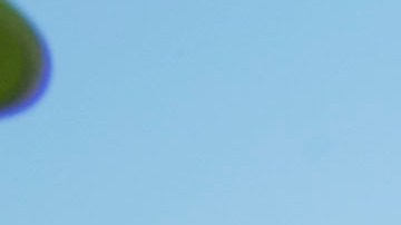 La mujer debe aprovechar su potencial en diferentes áreas.