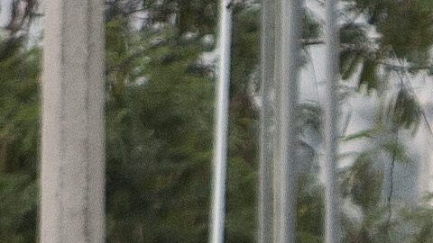 Forenses ingresan al sitio donde un grupo armado asesinó a diez personas en el municipio de García, cerca de la ciudad de Monterrey.