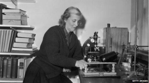 dorothy hodgkin