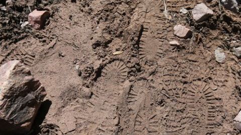 desierto-en-la-frontera_655x438