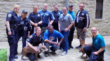 Oficiales del Departamento de la Policía y el Departamento de Control y Cuidado de Animales de la Ciudad junto algunos de los pit bulls rescatados.