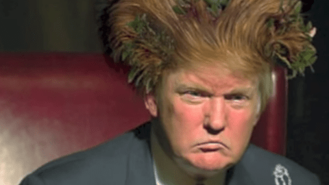 Esta es una de las imágenes del tema dedicado a Donald Trump.