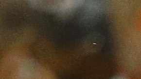 Chris Heston es felicitado luego de completar un juego sin hit ni carrera para los Gigantes en contra de los Mets.