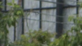 MILES MARCHAN CONTRA CORRUPCIÓN EN HONDURAS Y EN APOYO A PRESIDENTE HERNÁNDEZ