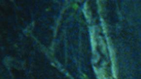 'Jurassic World' ya es la quinta película más taquillera de la historia en el país.