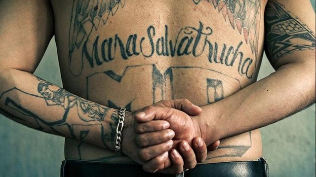 La pandilla salvadoreña ‘MS-13’ se ha extendido hasta vecindarios en Long Island