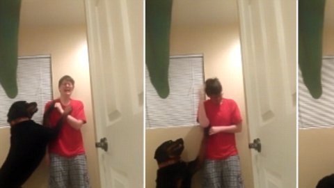 perro asperger