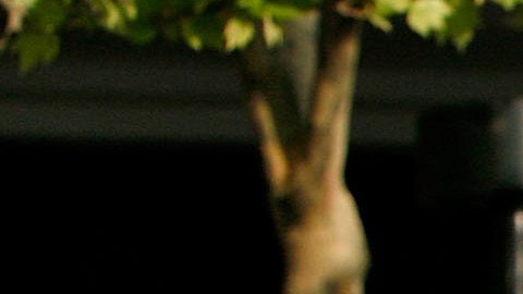 Lecciones de salsa gratis con algunas de las opciones para disfrutar este verano en la ciudad.
