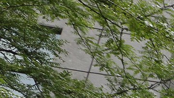 07-02-2015_002_PerSE