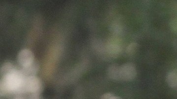 Uber y taxis pelean en NYC