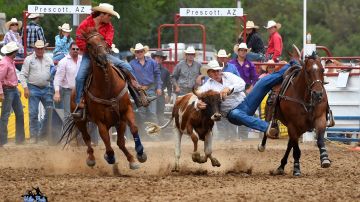 Durante la primera semana de julio se realiza el rodeo más antiguo del mundo en Prescott, Arizona.