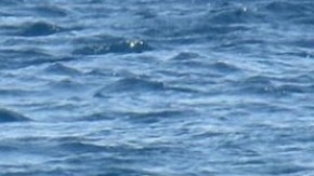 bebe rescate turquia