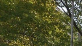 Los operativos se realizaron en Bushwick Houses y Borinquen Plaza Houses, en East Williamsburg.