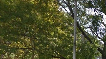 Los operativos se realizaron en Bushwick Houses y Borinquen Plaza Houses, en East Williamsburg.